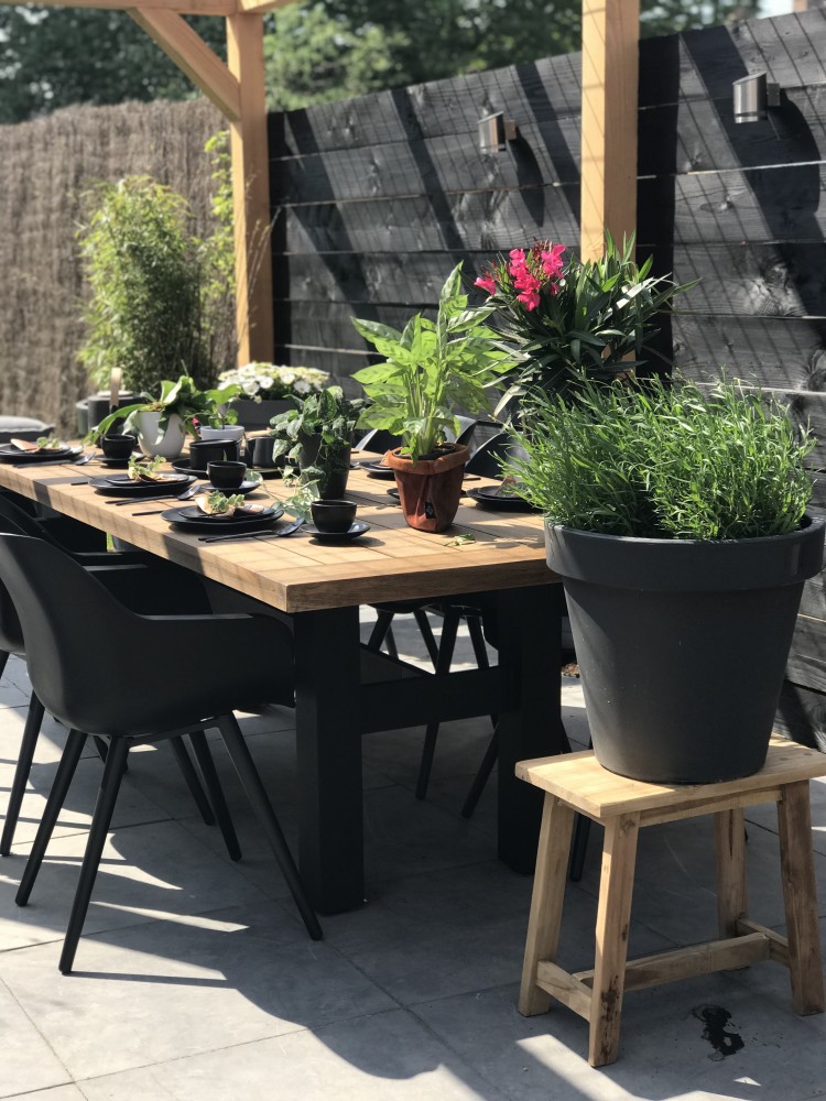 De zomer start bij ons in de voortuin!