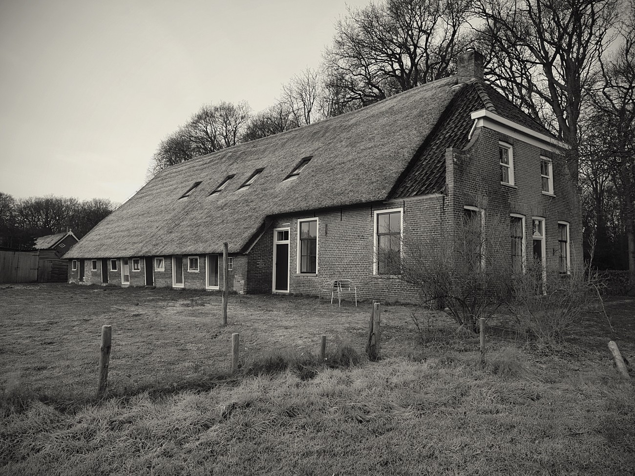 boerderijfoto