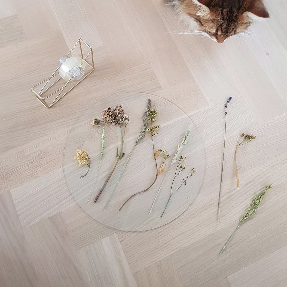 DIY Droogbloemen