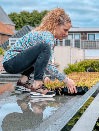 Een groen dak van MobiRoof ECO!