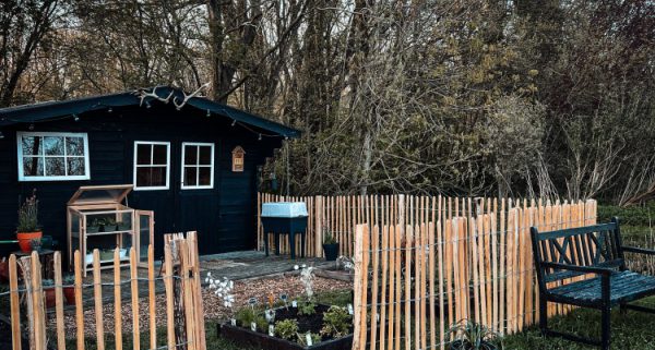 Beginnen met een moestuin